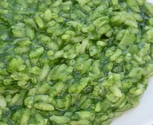 Risotto agli spinaci