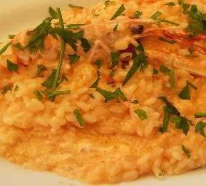 Risotto agli scampi