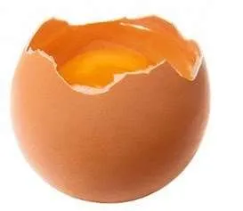 uovo fresco