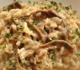 risotto ai funghi porcini secchi