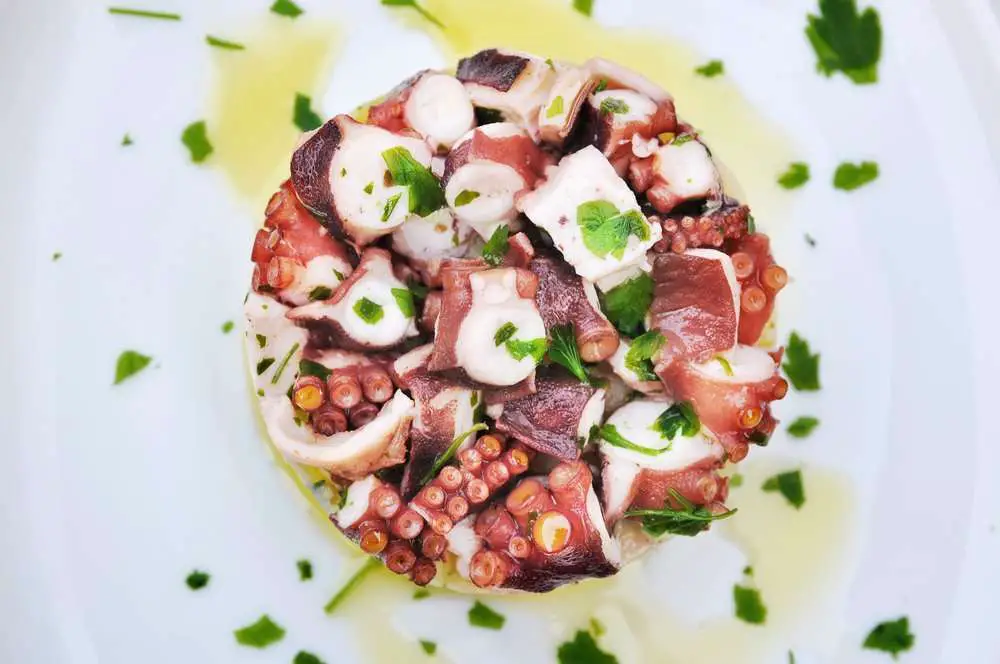 insalata di polpo congelato
