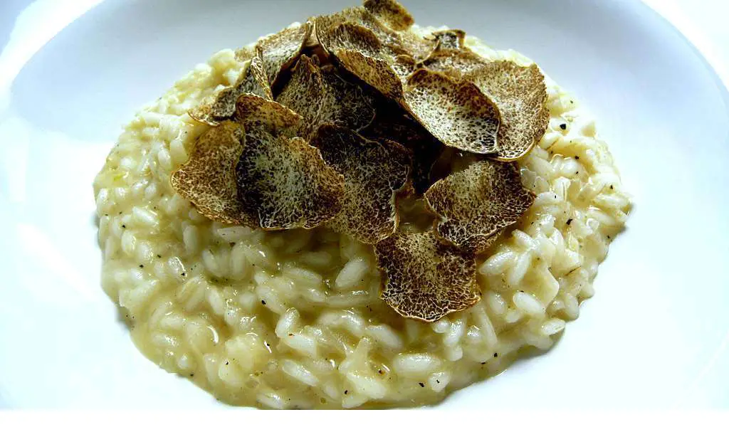 Risotto al Castelmagno